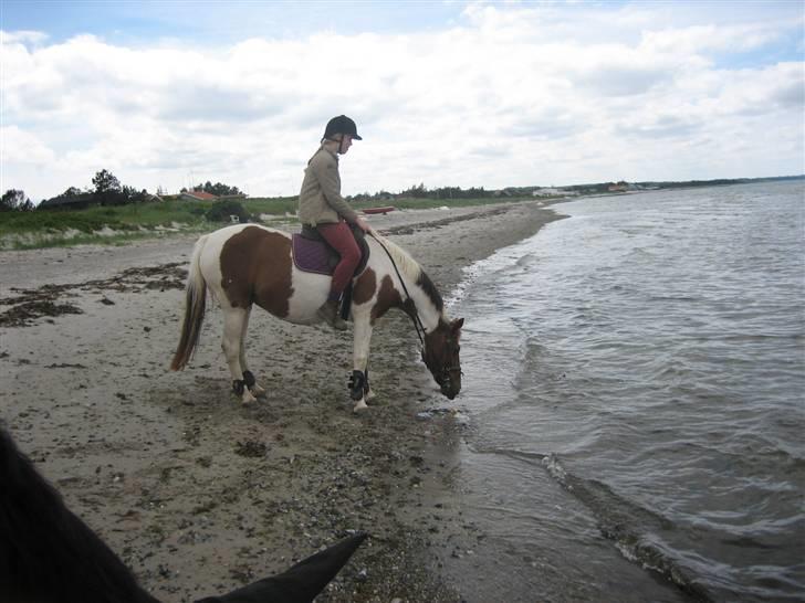 Ferie i Fjellerup 2007 - Indi kom kun så langt de første par dage billede 19