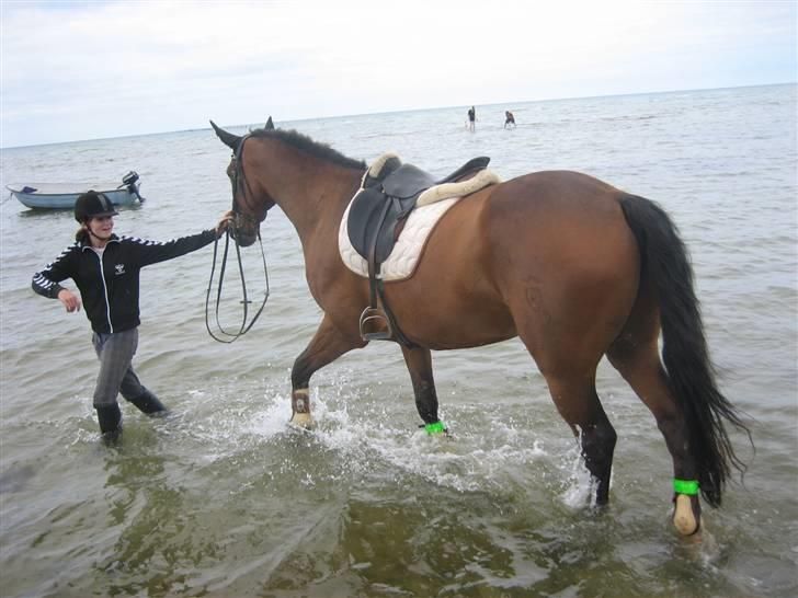Ferie i Fjellerup 2007 - Lokkeduen ally mester billede 20