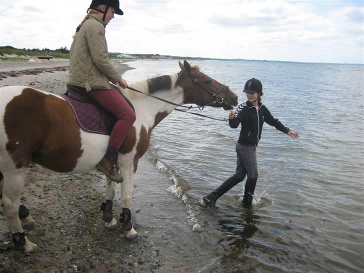 Ferie i Fjellerup 2007 - Kom nu indi du skal da også prøve men nej tak billede 21