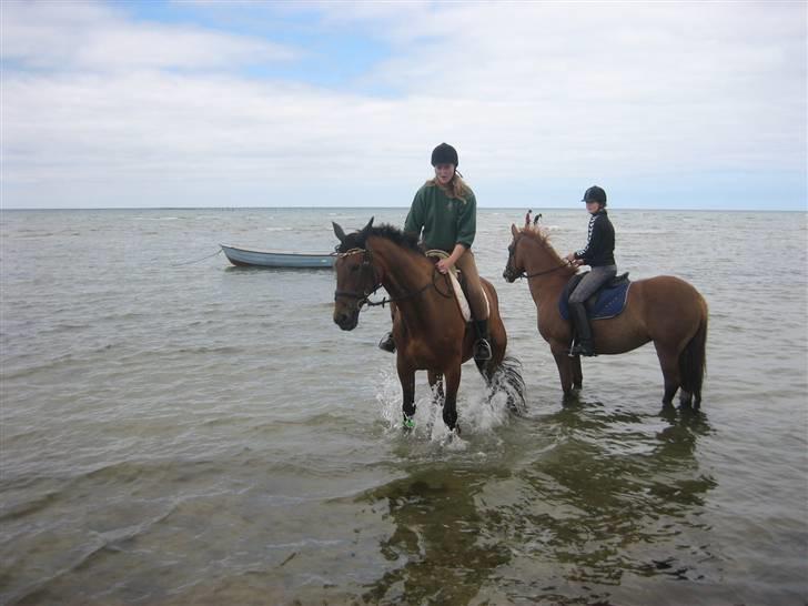 Ferie i Fjellerup 2007 - Ih hvor er det hygggeligt billede 22