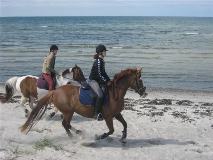 Ferie i Fjellerup 2007 - Så er indi med fart over feltet ally startede ellers hårdt ud billede 23