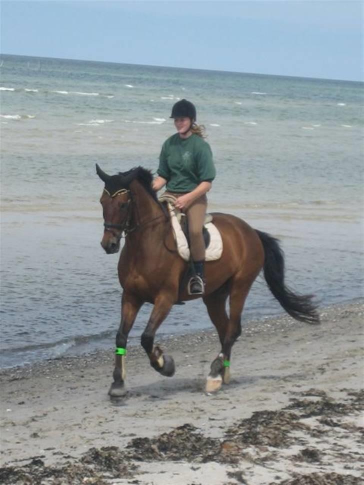 Ferie i Fjellerup 2007 - Chester og jeg i en galop på stranden billede 24
