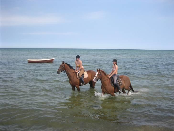 Ferie i Fjellerup 2007 - Sikke lavvandet der var den dag billede 32