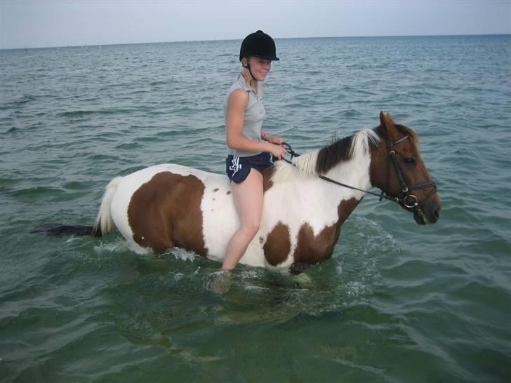 Ferie i Fjellerup 2007 - Indi kom endelig med for første gang selvom de har prøvet mange år forinden billede 35