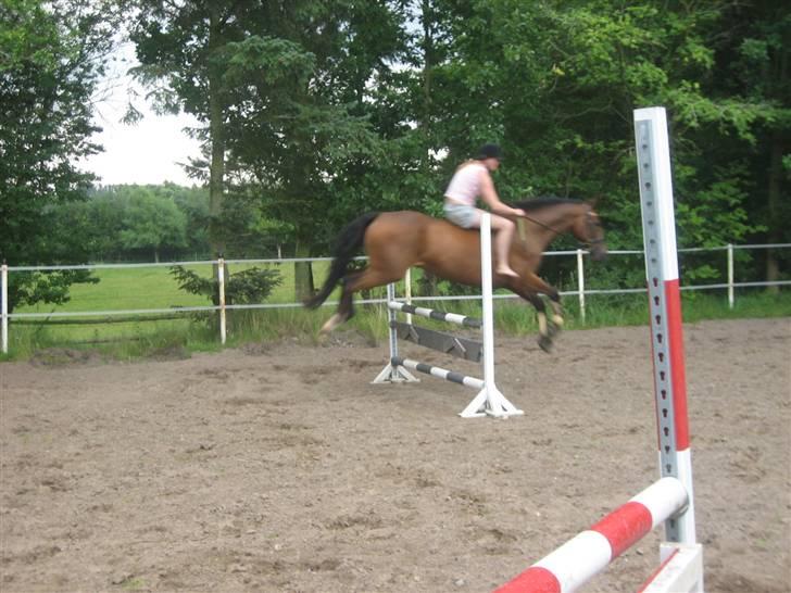 Ferie i Fjellerup 2007 - Chester og jeg uden sadle det højeste jeg har hoppet uden billede 40