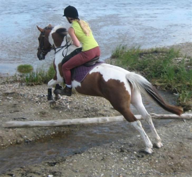 Ferie i Fjellerup 2007 - Ët hop over  en lille å billede 41