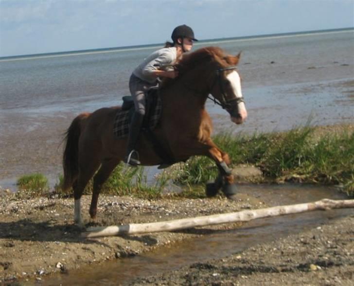 Ferie i Fjellerup 2007 - Så fint de kan de to billede 42