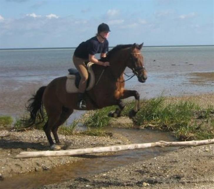 Ferie i Fjellerup 2007 - Chester og jeg kan også billede 43