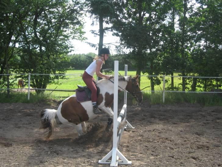 Ferie i Fjellerup 2007 - Et STOP billede 49