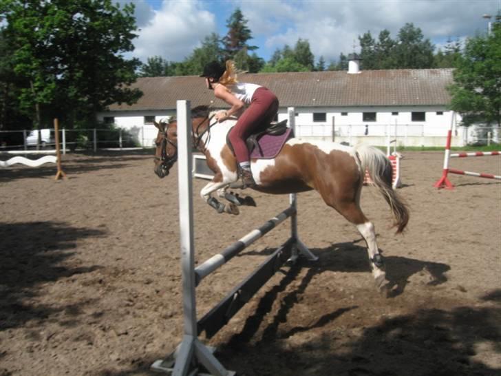 Ferie i Fjellerup 2007 - Men de kan godt billede 50
