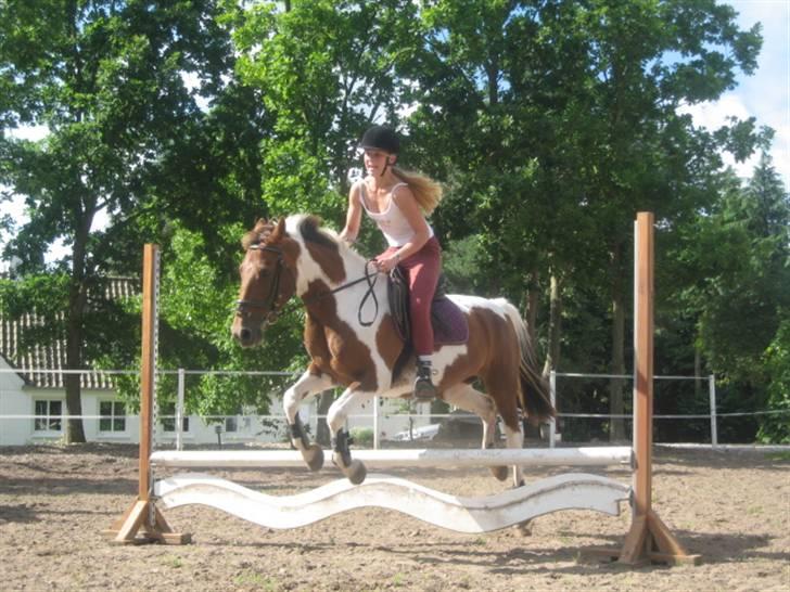 Ferie i Fjellerup 2007 - Og det er hyggeligt og skønt billede 51