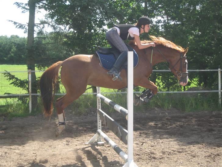 Ferie i Fjellerup 2007 - De er så fine sammen de to billede 52