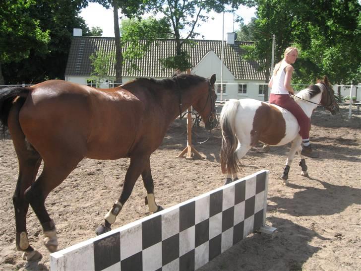 Ferie i Fjellerup 2007 - Chester leger kongen efterfølge billede 53