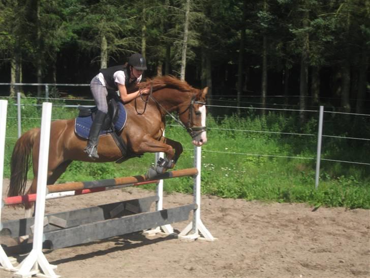 Ferie i Fjellerup 2007 - Hop i to smukke billede 54