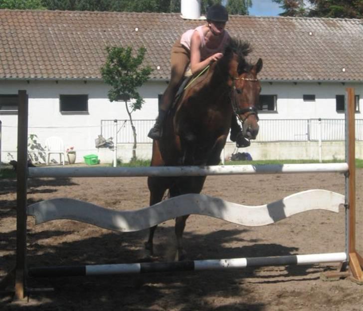 Ferie i Fjellerup 2007 - Chester og jeg billede 55