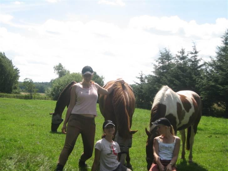 Ferie i Fjellerup 2007 - Os alle 6 billede 59