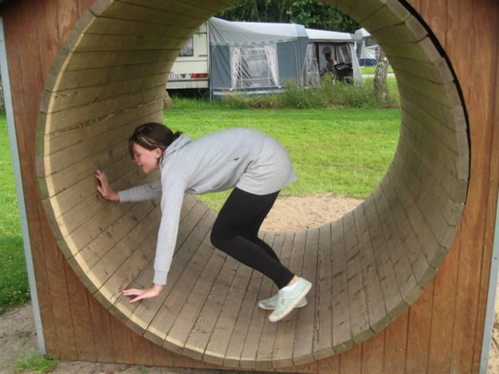 Ferie i Fjellerup 2007 - Ally en smule beruset billede 66