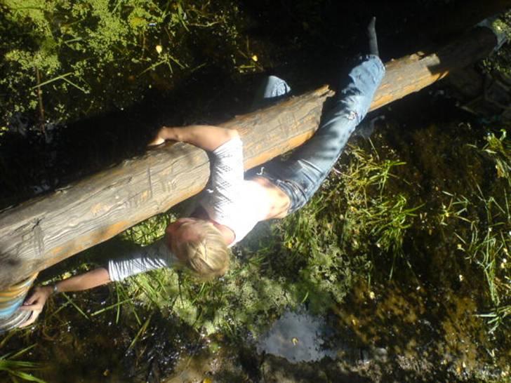 Ferie i Fjellerup 2007 - Camilla brilliere på tarzanstien i djurs sommerland, eller gav ihvertflad et godt grin billede 77