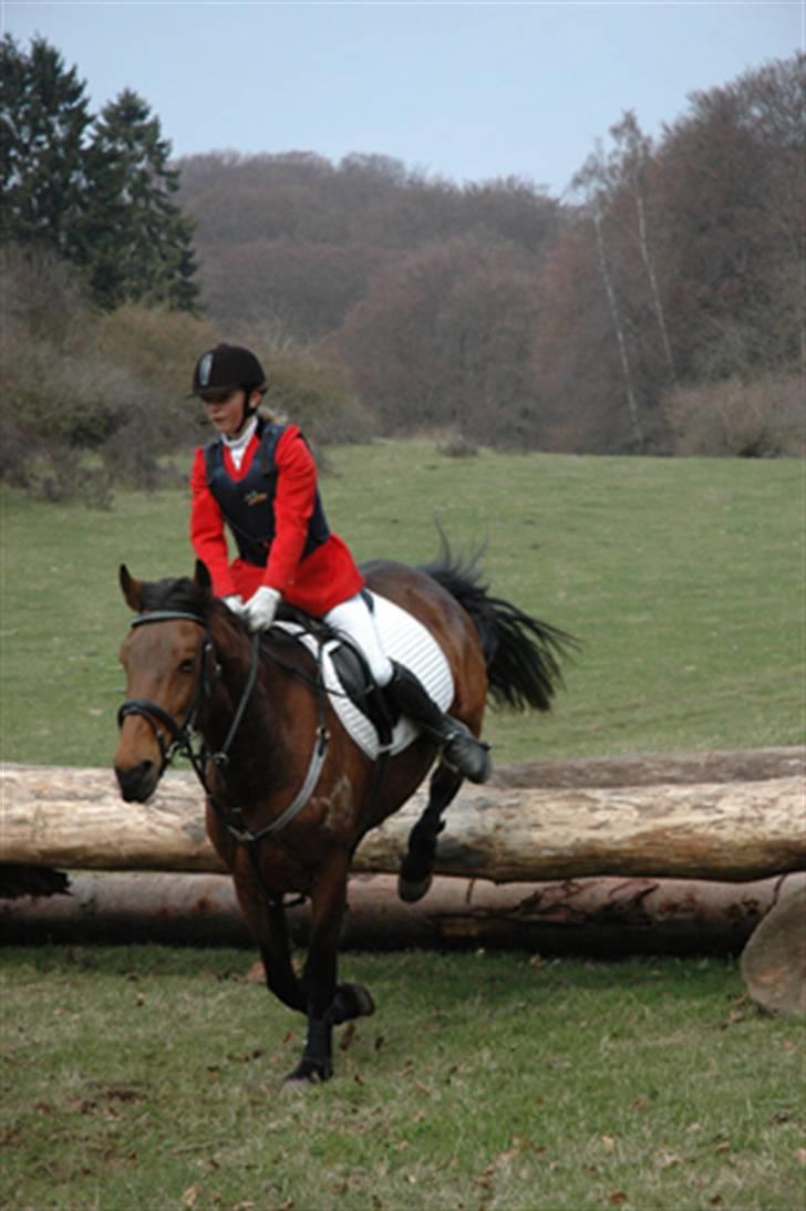 Jagt  <3 - Mig og Fleur til jagt på møn 29-04-06 billede 1