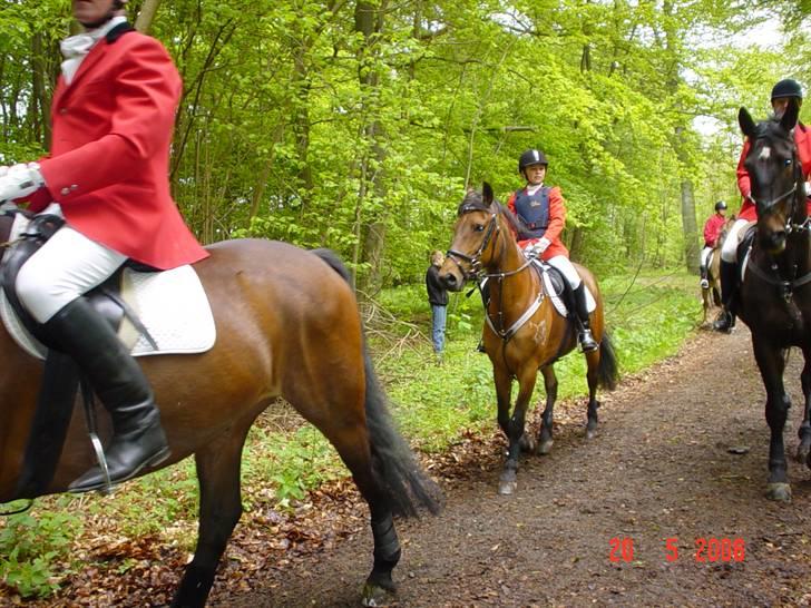 Jagt  <3 - Mig og Fleur til jagt i Hannovskoven 20-05-06 billede 5
