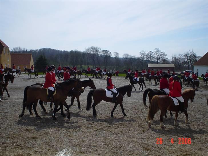 Jagt  <3 - Mig og Fleur til jagt på møn 29-04-06 billede 6