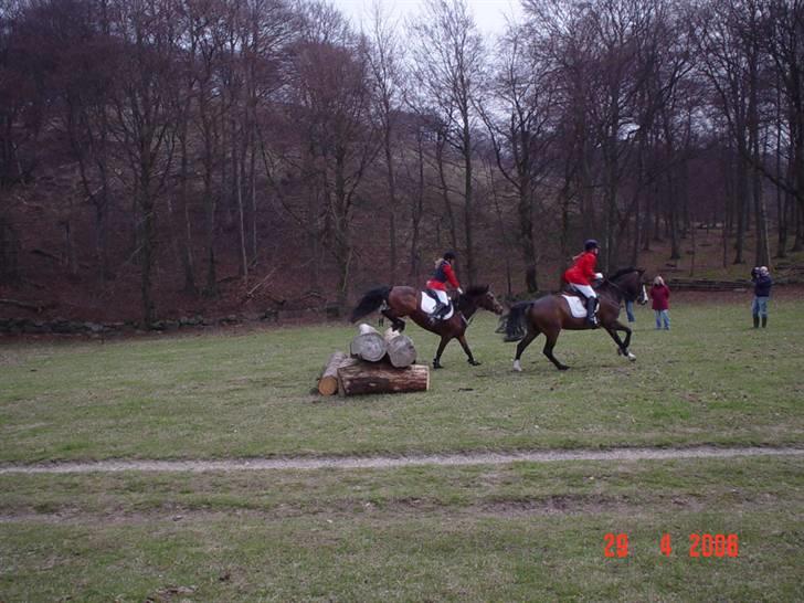 Jagt  <3 - Mig og Fleur til jagt på møn 29-04-06 billede 7