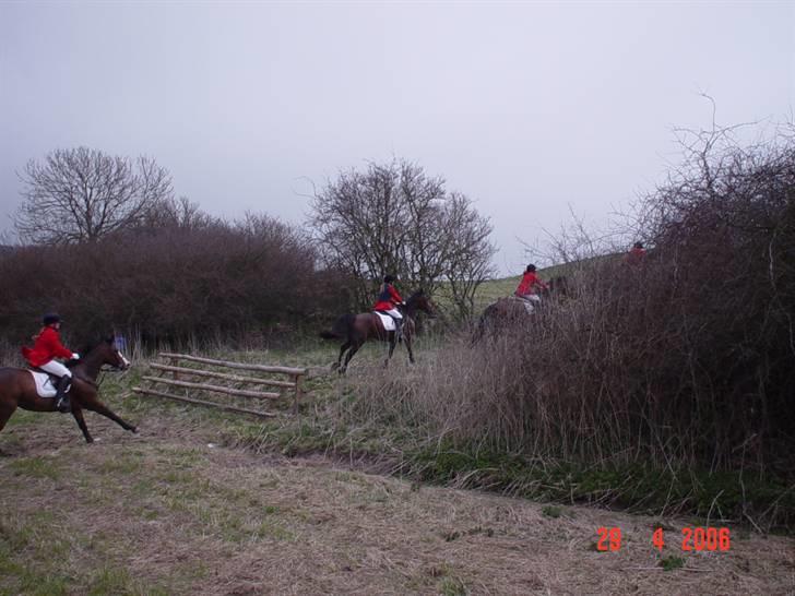 Jagt  <3 - Mig og Fleur til jagt på møn 29-04-06 billede 8