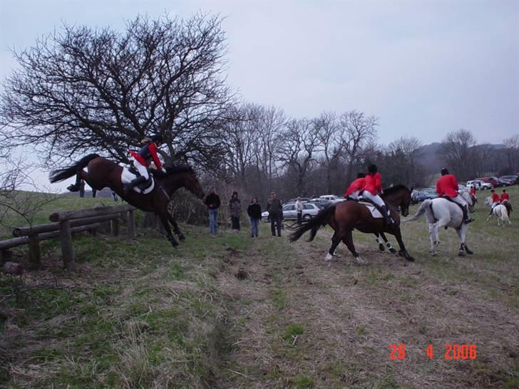 Jagt  <3 - Mig og Fleur til jagt på møn 29-04-06 billede 9