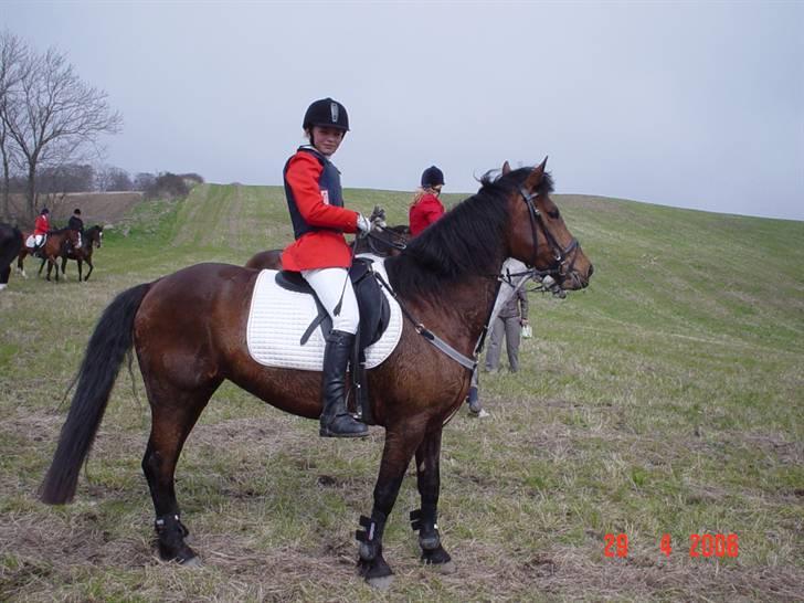 Jagt  <3 - Mig og Fleur til jagt på møn 29-04-06 billede 10