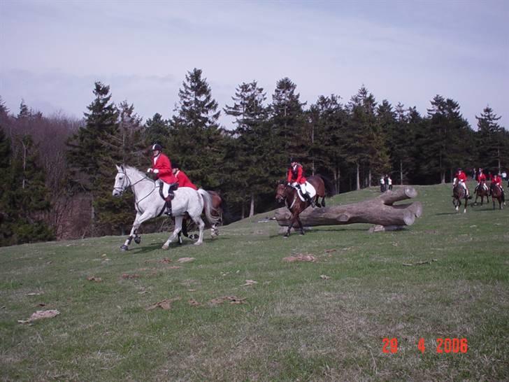 Jagt  <3 - Mig og Fleur til jagt på møn 29-04-06 billede 12