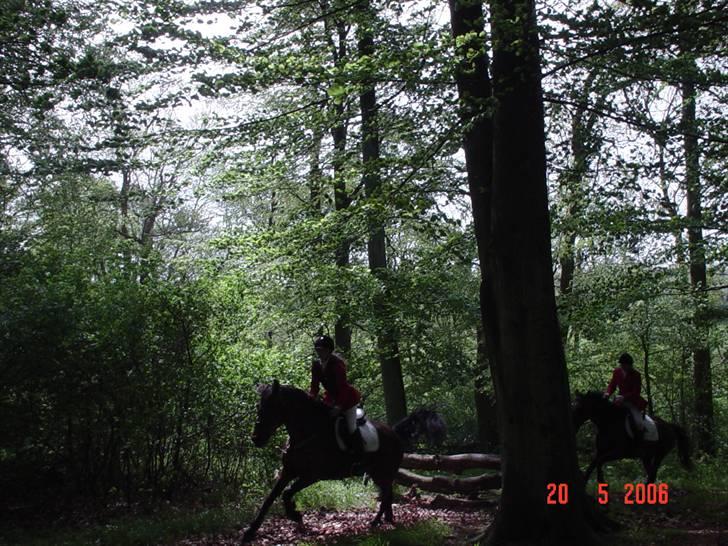 Jagt  <3 - Mig og Fleur til jagt i Hannovskoven 20-05-06 billede 13