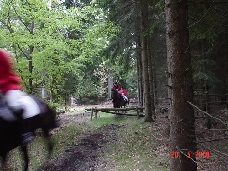 Jagt  <3 - Mig og Fleur til jagt i Hannovskoven 20-05-06 billede 14