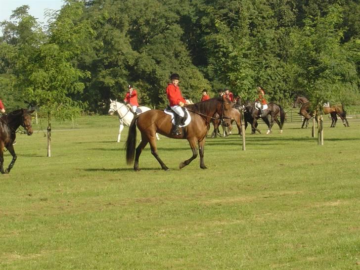 Jagt  <3 - Mig og Fleur til jagt i Knuthenborg 04-09-05 billede 18