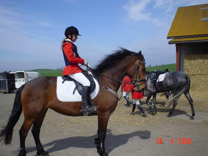 Jagt  <3 - Mig og Fleur til jagt på møn 29-04-06 billede 19