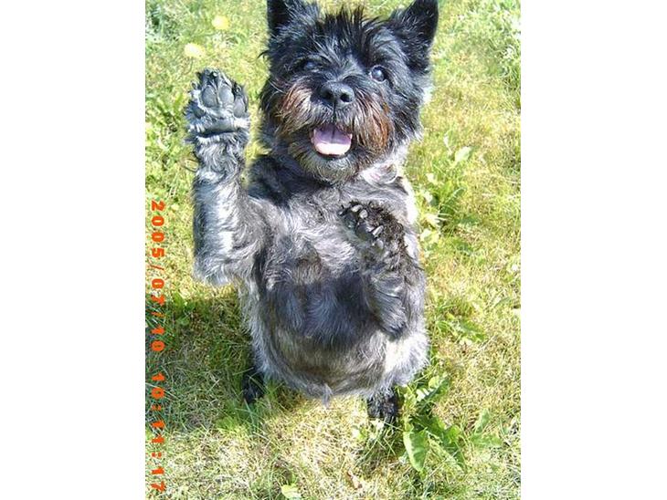 {{currentPhoto.altText}} billede {{currentPhoto.number}}