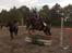 Ponyer jeg har redet <3 - WHISKY!
Min yndlings springpony på Ørholm, efter Lante <3
Han var så lækker at springe på, og jeg fik meget ud af at ride ham. Både i dressur og spring. Savner at ride på ham :'( <3
Billedet er fra sidste springtime på ham :')