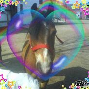 Fabian min lille mand<33