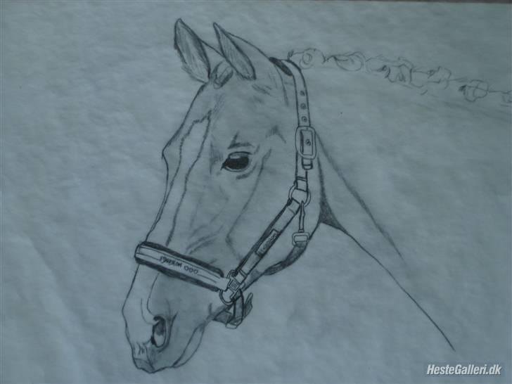 Nogle flotte tegninger af ferrai - 1 billede 1