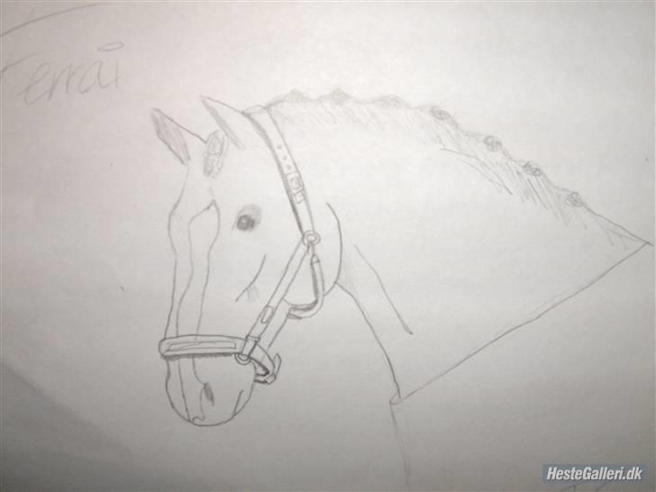 Nogle flotte tegninger af ferrai billede 5