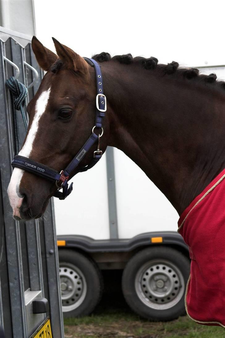 Nogle flotte tegninger af ferrai - 1 billede 2