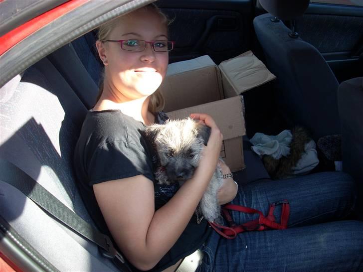 Min dejlige hund bounty billede 1