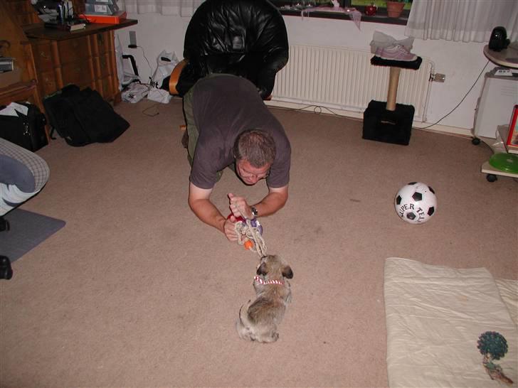 Min dejlige hund bounty billede 12