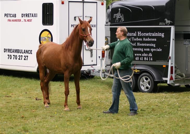 Sceance med Torben Andersen billede 1
