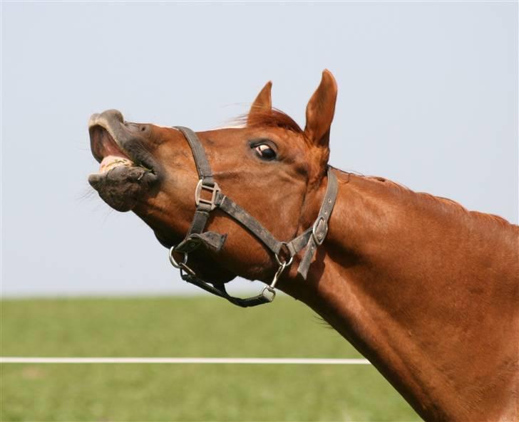 Sceance med Torben Andersen billede 2