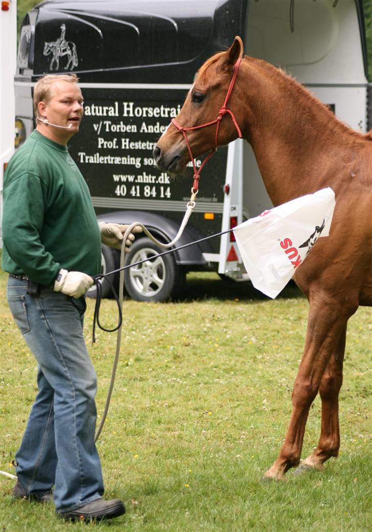 Sceance med Torben Andersen billede 4