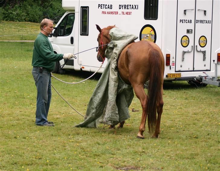 Sceance med Torben Andersen billede 8