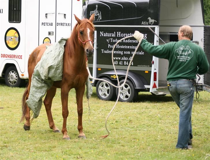 Sceance med Torben Andersen billede 9