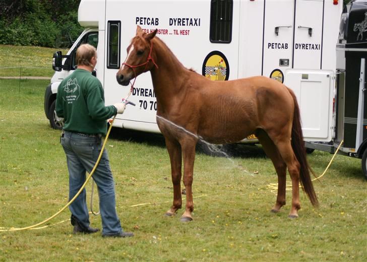 Sceance med Torben Andersen billede 12