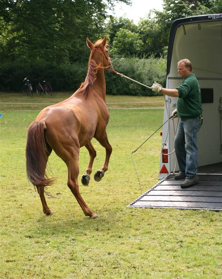 Sceance med Torben Andersen billede 14