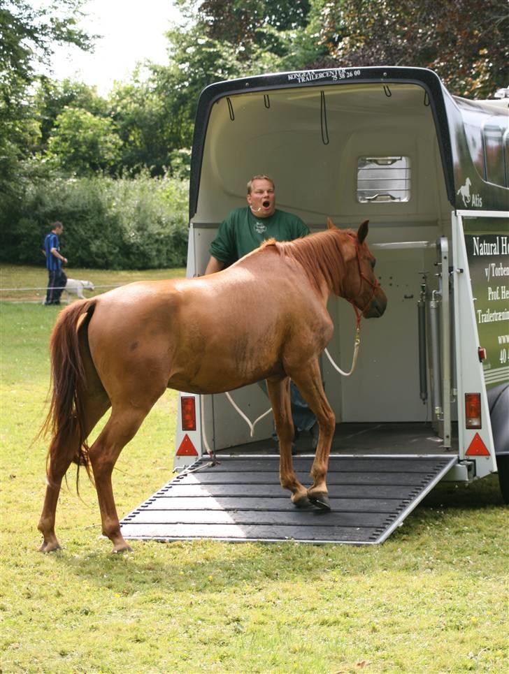 Sceance med Torben Andersen billede 15